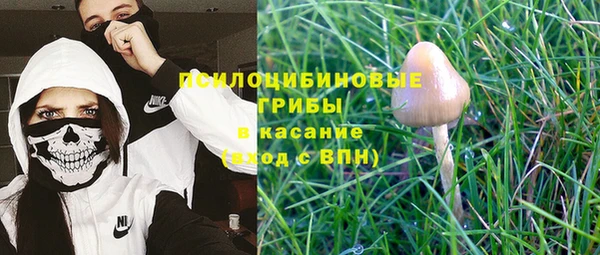 ECSTASY Вязьма