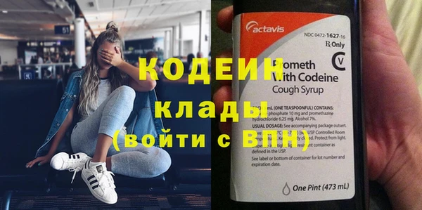 прущие грибы Аркадак