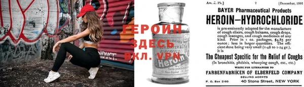 прущие грибы Аркадак