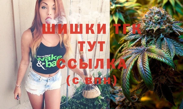 прущие грибы Аркадак