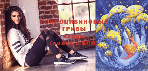 прущие грибы Аркадак