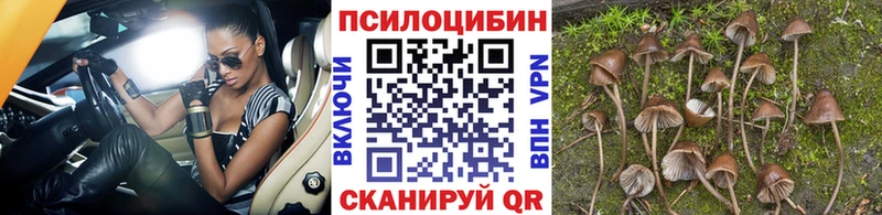 Галлюциногенные грибы мицелий  Макарьев 