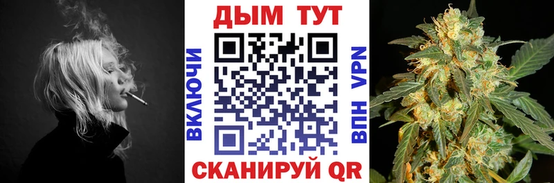 Канабис планчик  маркетплейс Telegram  Макарьев  продажа наркотиков  KRAKEN ссылка 
